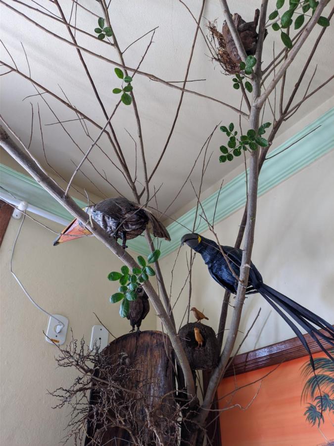 Hotel Pousada Guaypora Guarapari Dış mekan fotoğraf